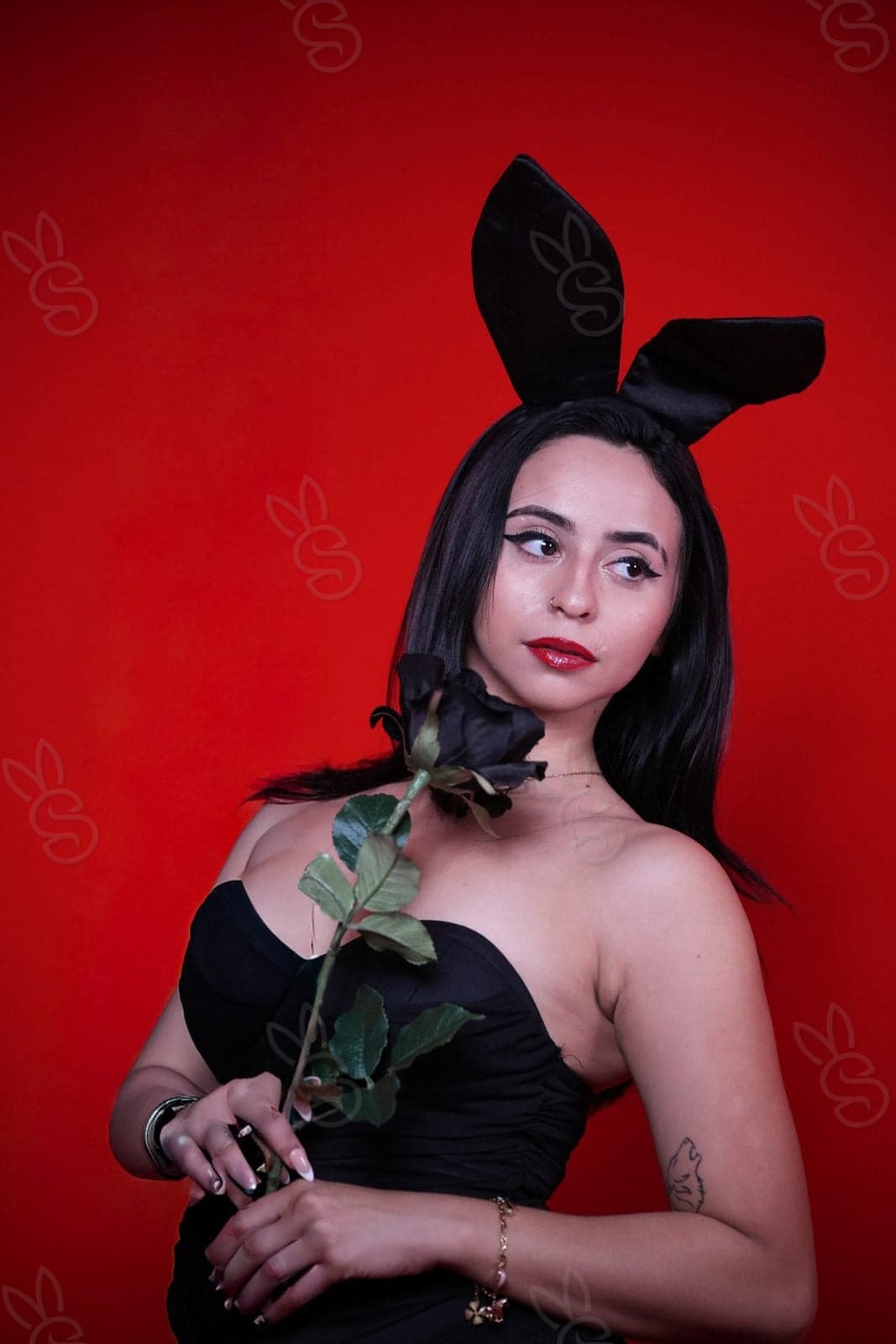 The Bunny — signature series